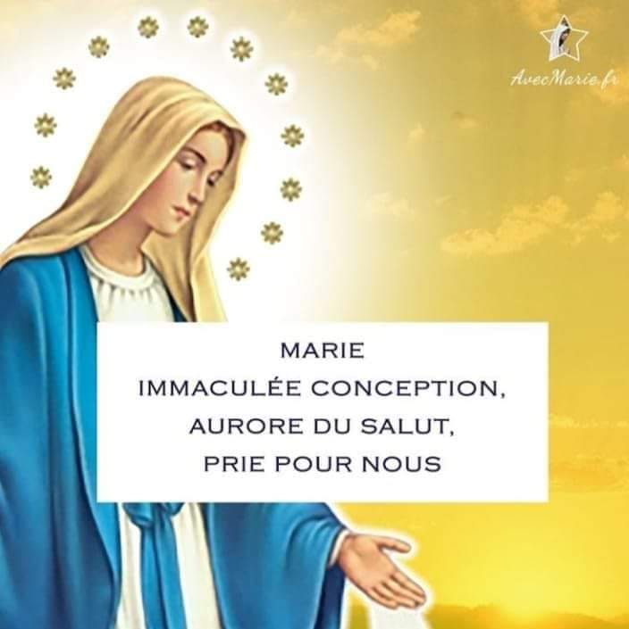 Staff working with clients