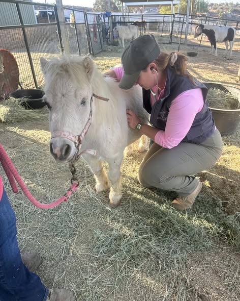 Staff and contractors at work